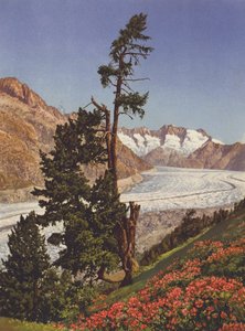 Sveits: Utsikt over Aletschbreen og Fiescherhorner av Jean Gaberell
