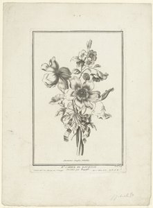 Bukett av anemone og bindweed Anemones simples, Volubilis (tittel på objekt) IIe Cahier de Bouquets (serietittel) av Jean Jacques Avril (I)