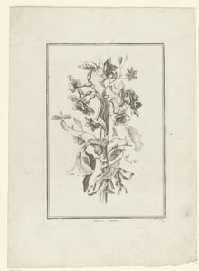 Bukett av påskelilje og bindweed Narcissus, Volubilis (tittel på objekt) IIe Cahier de Bouquets (serietittel) av Jean Jacques Avril (I)