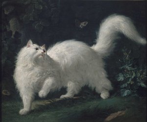 Angorakatt som jager en sommerfugl, ca. 1760 (olje på lerret)