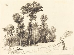 Lille Hunter