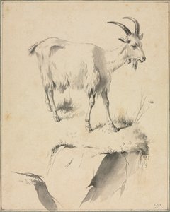 Studie av en geit, 1700-tallet. av Jean Jacques de Boissieu