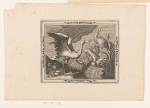 storker Dyrepresentasjoner (serietittel)