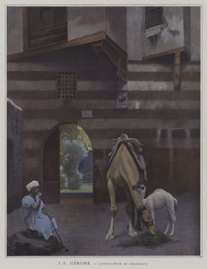 Camel Driver (farge litho)