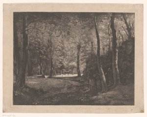 Gjeterinne i skogen til Rochecardon
