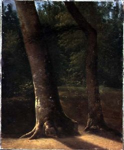 Study of Trees, ca. 1815 (olje på papir) av Jean Victor (attr. to) Bertin