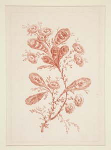 Uten tittel (Ideelle blomster), fra et sett på seks av Jeanne Deny