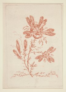 Uten tittel (Ideelle blomster), fra et sett på seks