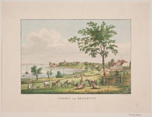 Utsikt ved Bellevue