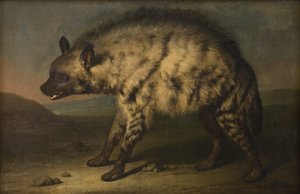 Hyenen i menasjeriet på Frederiksberg slott av Jens Juel