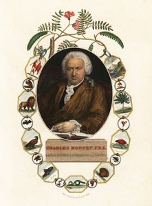 Portrett av Charles Bonnet, naturforsker i Geneve.1803 (gravering) av Jens Juel