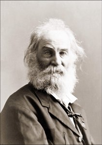 Portrett av Walt Whitman (1819 - 1892) av Gurney mellom 1880 og 1890.