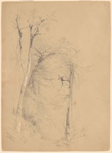 Kaaterskill fedd av Jervis McEntee