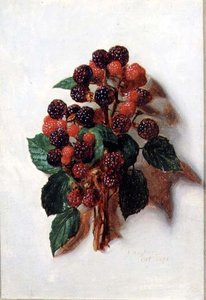 oktober (fra en serie på tolv) av Jessica Hayllar