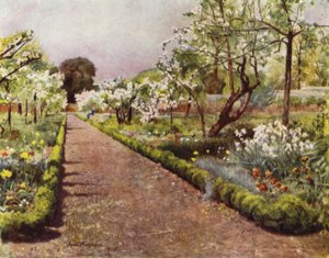 Fulham, The Flower Walk in the Walled Garden (farge litho)