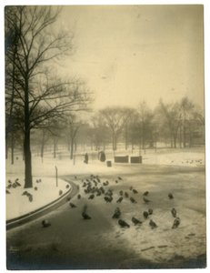 Vanlig med duer, Boston, USA, ca. 1902-10 av Jessie Tarbox Beals