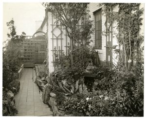 Garden of Mrs Regina Jais, ca. 1936-37 (foto av gelatinsølv) av Jessie Tarbox Beals