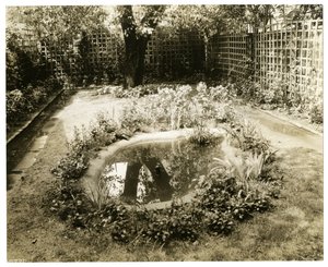 Garden of Mrs W H Wells 265 W 11th, Greenwich Village, New York, USA, ca. 1936-37 (foto av gelatinsølv) av Jessie Tarbox Beals