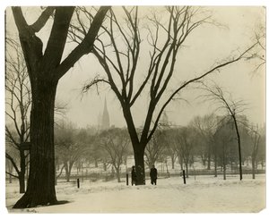 The Common, Boston, USA, ca. 1902-10 (foto av gelatinsølv) av Jessie Tarbox Beals