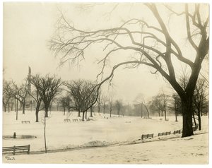 The Common, Boston, USA, ca. 1902-10 (foto av gelatinsølv) av Jessie Tarbox Beals