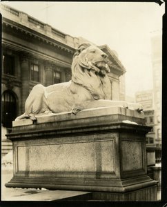 Den hovmodige løven foran biblioteket Han forstår Gertrude Steinish, New York, USA, ca. 1905-40 (foto av gelatinsølv) av Jessie Tarbox Beals