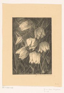 Viviblomster av Jo van Oosten Slingeland (signed by artist)