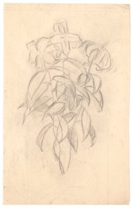 Blomsterstudie av Joakim Frederik Skovgaard