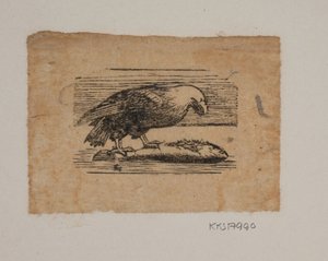 En ørn av Joakim Frederik Skovgaard