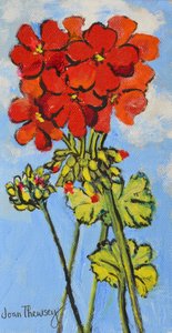 Geranium Spray, 2017, (akryl) av Joan Thewsey