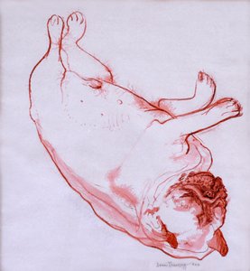 Hogarth Sleeping, 2005, (blekk på vått papir) av Joan Thewsey