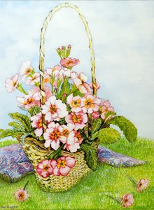 Rosa Primroses i en blomsterhandlerkurv med et Paisley-skjerf, 2010, akvarell av Joan Thewsey