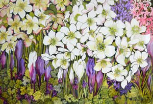 Spring Border: Hellebores, Crocus og Fioler, av Joan Thewsey