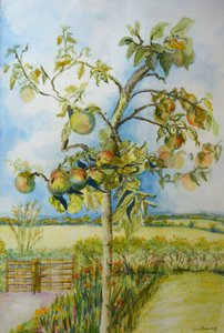 Epletreet, 2001 av Joan Thewsey