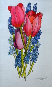Tulipaner, Muscari og Forglemmegei, 2002, av Joan Thewsey