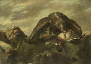 Ørne på klippene av Joannes Fijt (copy after)