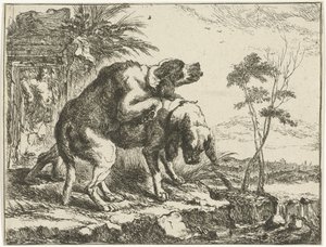 To parrende hunder Hunder (serietittel)