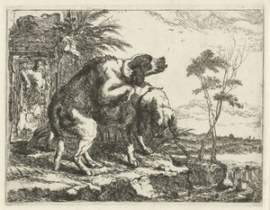 To parrende hunder Hunder (serietittel)