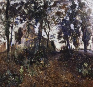 hage av Joaquim Mir i Trinxet