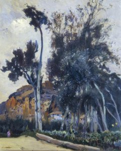 Miravet av Joaquim Mir i Trinxet