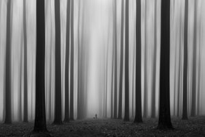 Stien gjennom den tåkete skogen av Jochen Bongaerts