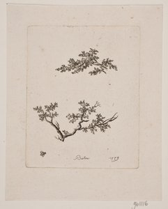 Til trægrene av Johan Bülow
