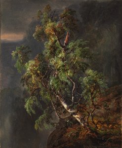 Bjørketre i en storm av Johan Christian Dahl