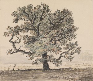 Furutre på en slette av Johan Christian Dahl