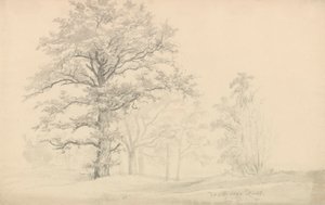  av Johan Christian Dahl