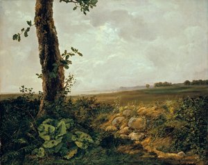  av Johan Christian Dahl