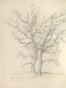 To eiketrær av Johan Christian Dahl