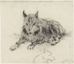 Tilbakelent fårehund
