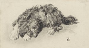 sovende hund