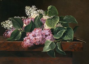 Syrin på en avsats, av Johan Laurents Jensen