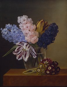 Tulipaner, hyasinter og fioler